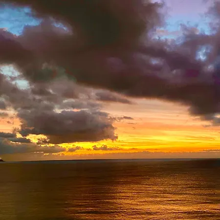 Promenade Des